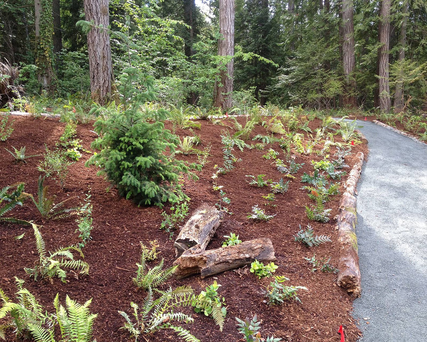 Nanaimo Landscape Design & Installation • Acer Landscaping ...
