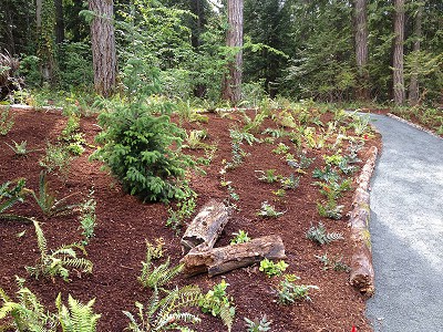 Large naturally landscaped area featuring mulch, plants, and a fresh gravel pathway