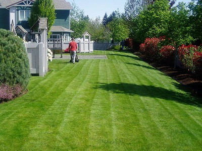 Acer Landscaping staff member push-mowing a large green lawn in a residential strata