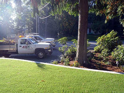 View of two Acer Landscaping work trucks in front of a tidy front lawn with garden beds