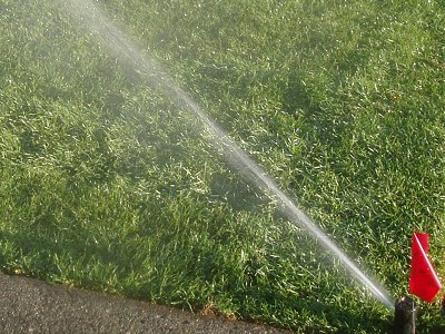 Tight crop of a pop-up sprinkler head watering a residential front yard