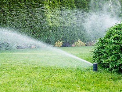 Pop-up rotor style sprinkler head watering a green lawn with shrubs in the background