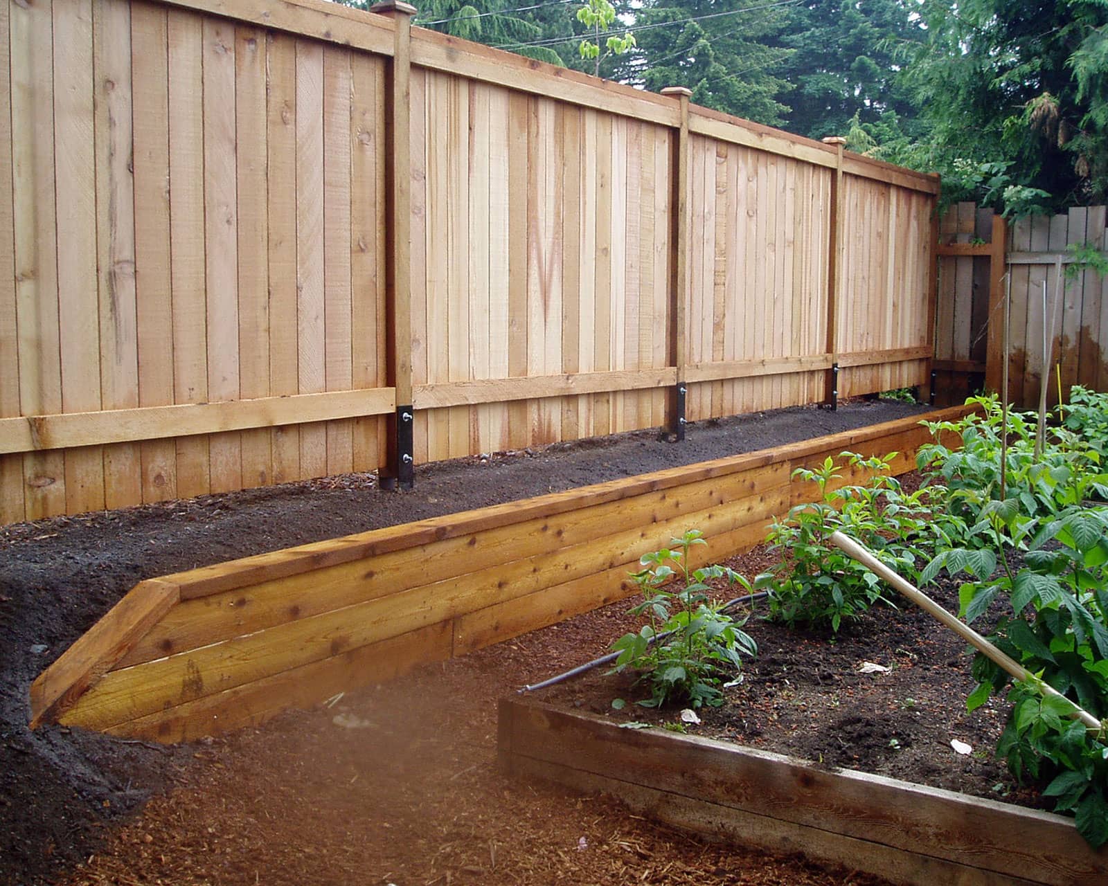 Residential backyard garden with a short wooden retaining wall and custom fence built in Nanaimo by Acer Landscaping