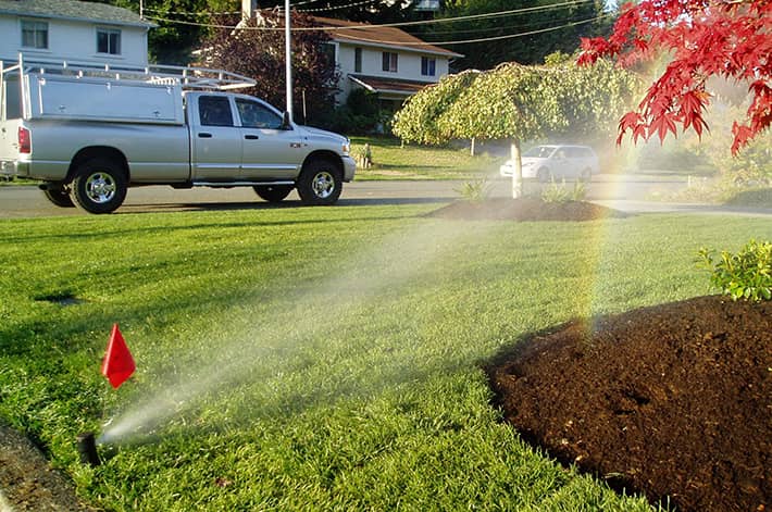 Green front lawn on a residential lot, with a spraying pop-up sprinkler watering the grass