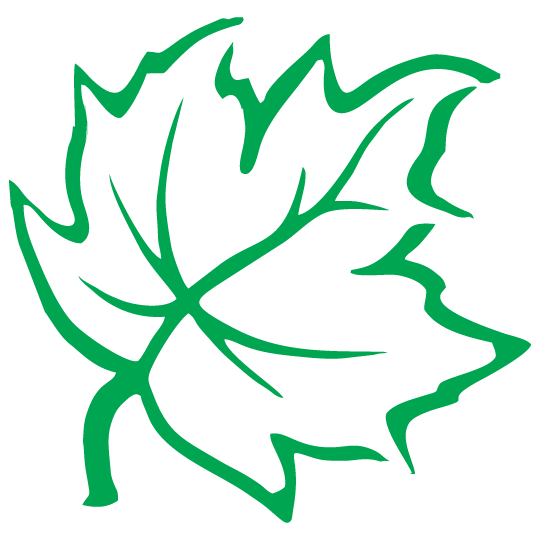 Maple leaf graphic from the Acer Landscaping logo